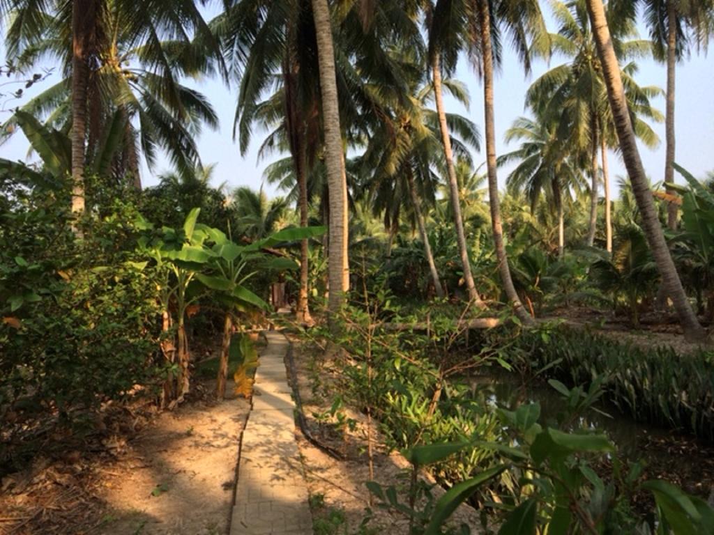 Charming Countryside Homestay Ben Tre Dış mekan fotoğraf