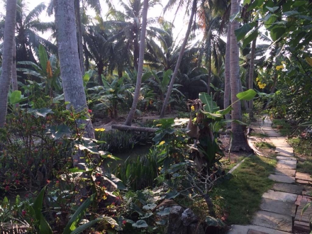 Charming Countryside Homestay Ben Tre Dış mekan fotoğraf